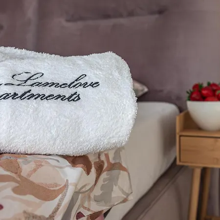 Lamelove - Energylandia, Zator Apartment Chocznia